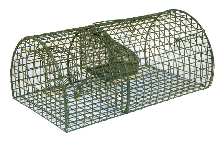 KERBL Ratten-Massenfänger Alive MultiRat